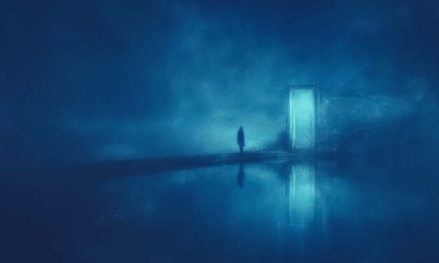 Aya Lin 1 Case File #01